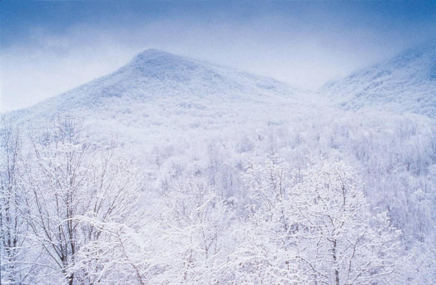 Club Wyndham Smoky Mountains Hotell Sevierville Eksteriør bilde